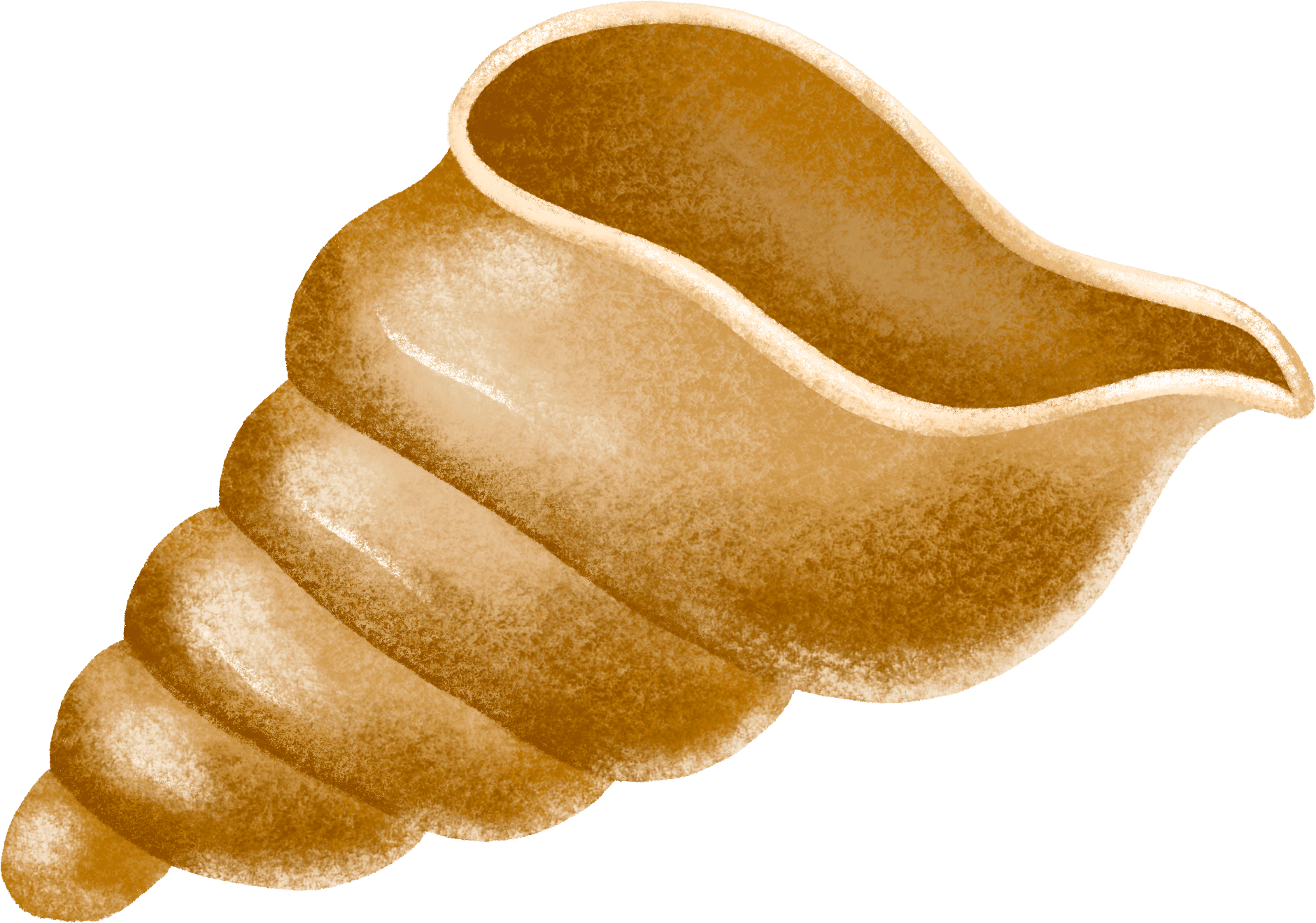 Shell